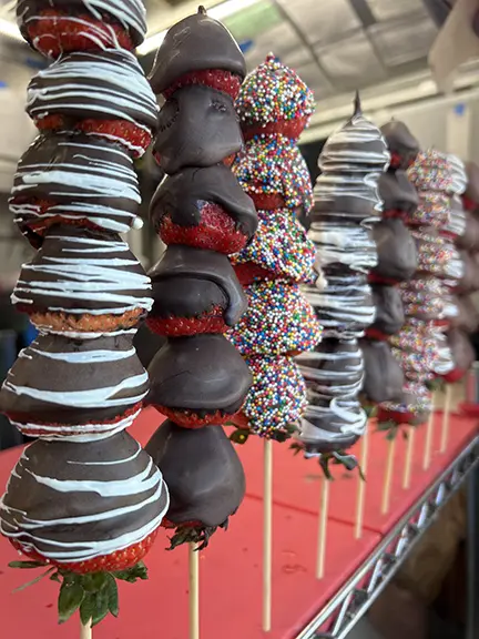 Berrysweets food truck