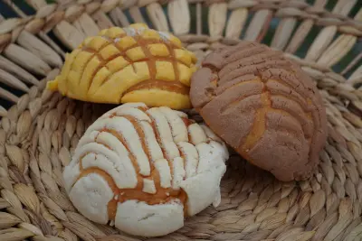 Conchas
