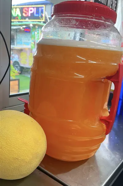 Organic Fresh Cantaloupe Juice (32oz)