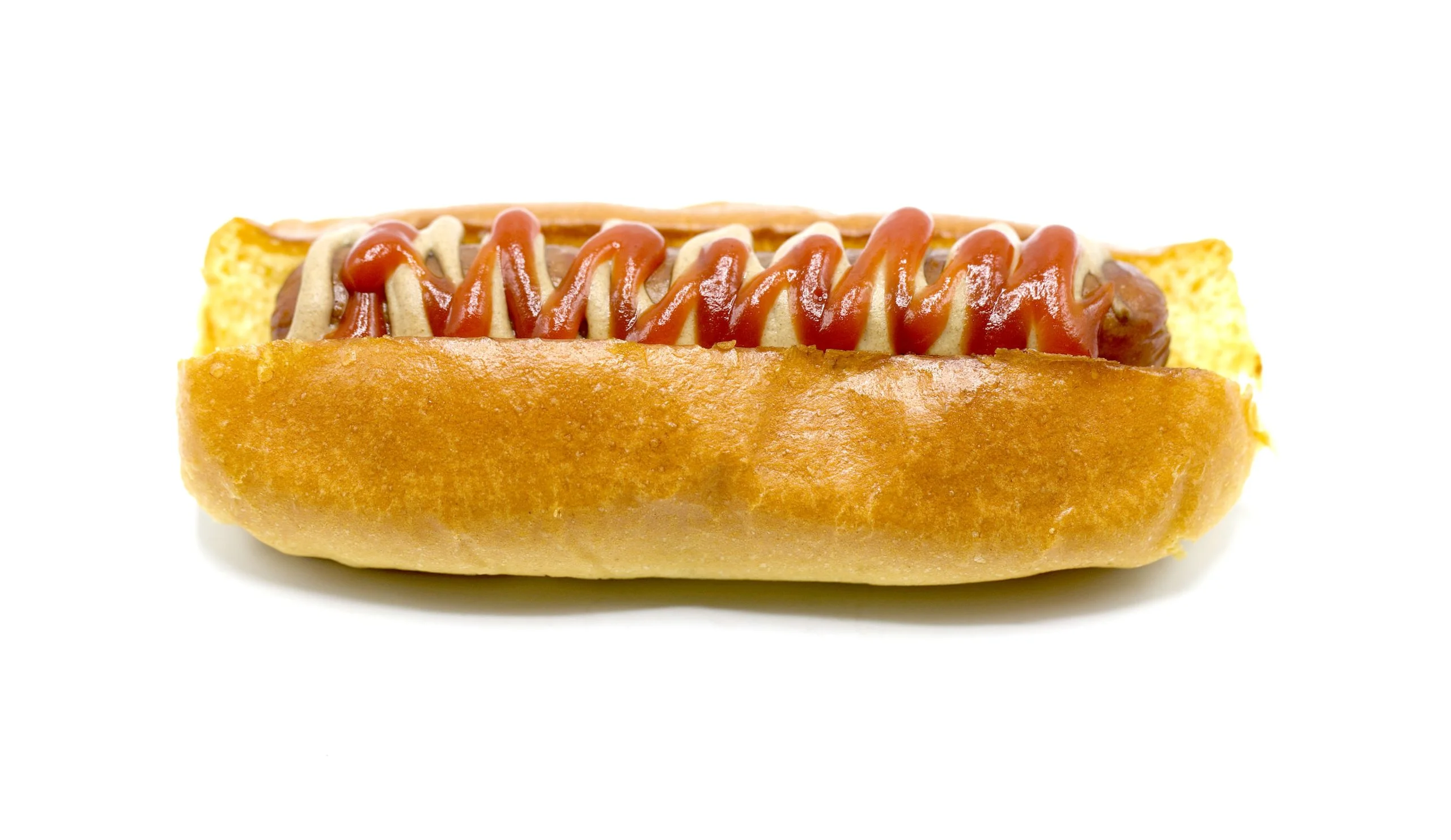 Cowtown Dog